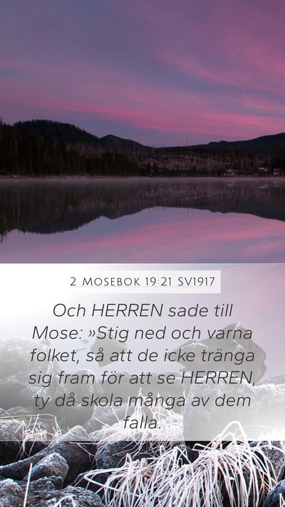 2 Mosebok 19:21 SV1917 Bible Verse Image