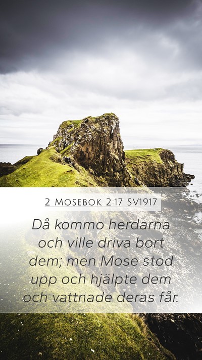 2 Mosebok 2:17 SV1917 Bible Verse Image