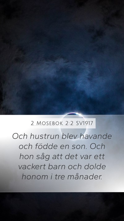 2 Mosebok 2:2 SV1917 Bible Verse Image