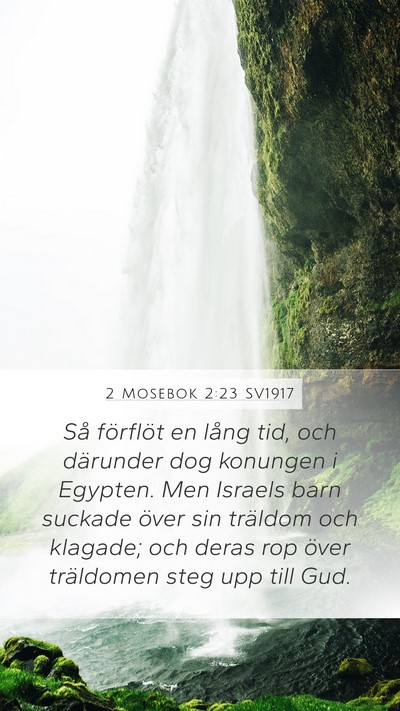 2 Mosebok 2:23 SV1917 Bible Verse Image