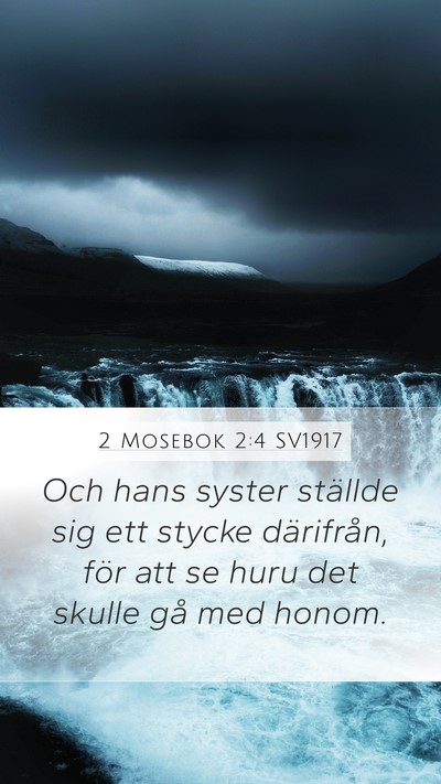 2 Mosebok 2:4 SV1917 Bible Verse Image