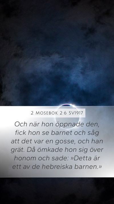 2 Mosebok 2:6 SV1917 Bible Verse Image
