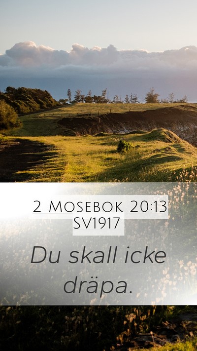 2 Mosebok 20:13 SV1917 Bible Verse Image