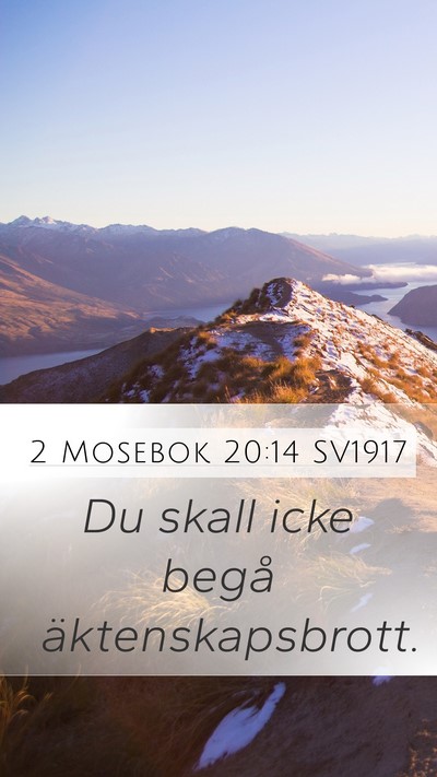 2 Mosebok 20:14 SV1917 Bible Verse Image