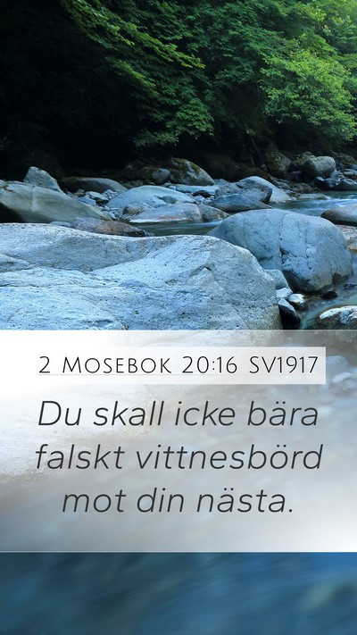 2 Mosebok 20:16 SV1917 Bible Verse Image