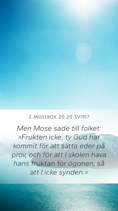 2 Mosebok 20:20 SV1917 Bible Verse Image