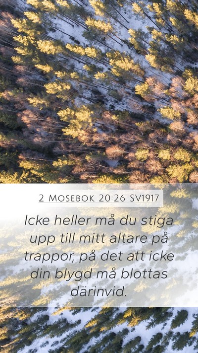 2 Mosebok 20:26 SV1917 Bible Verse Image