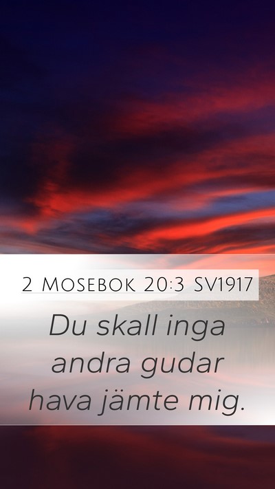 2 Mosebok 20:3 SV1917 Bible Verse Image