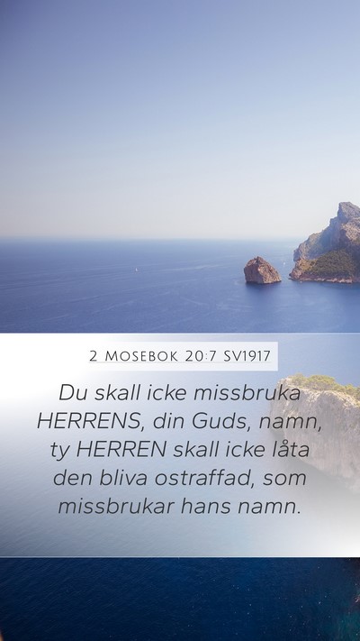 2 Mosebok 20:7 SV1917 Bible Verse Image