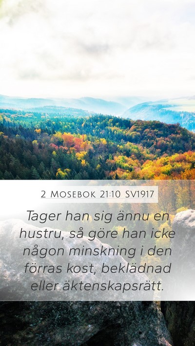 2 Mosebok 21:10 SV1917 Bible Verse Image