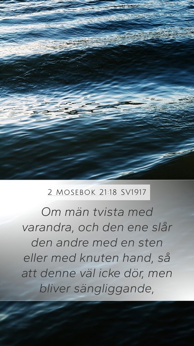 2 Mosebok 21:18 SV1917 Bible Verse Image