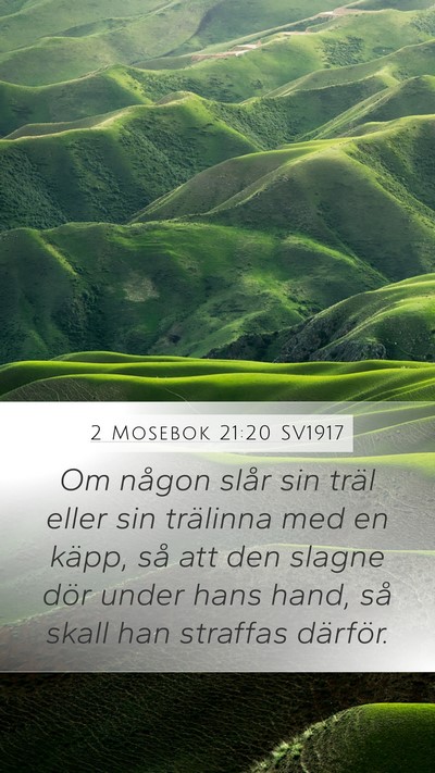 2 Mosebok 21:20 SV1917 Bible Verse Image