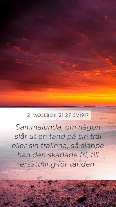 2 Mosebok 21:27 SV1917 Mobile Phone Wallpaper - Sammalunda, om någon slår ut en tand på sin - Mobile Bible Verse Wallpaper