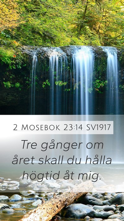 2 Mosebok 23:14 SV1917 Bible Verse Image