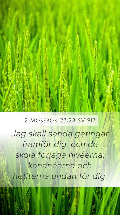 2 Mosebok 23:28 SV1917 Bible Verse Image