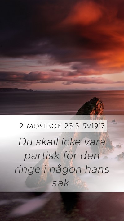 2 Mosebok 23:3 SV1917 Bible Verse Image