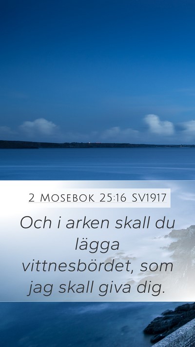 2 Mosebok 25:16 SV1917 Bible Verse Image