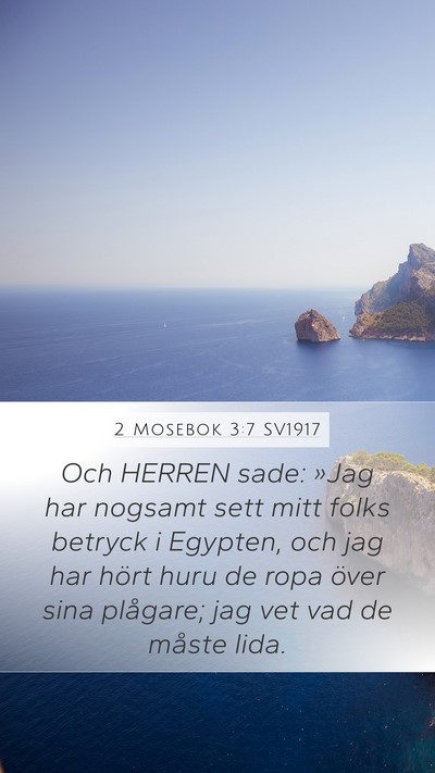 2 Mosebok 3:7 SV1917 Bible Verse Image
