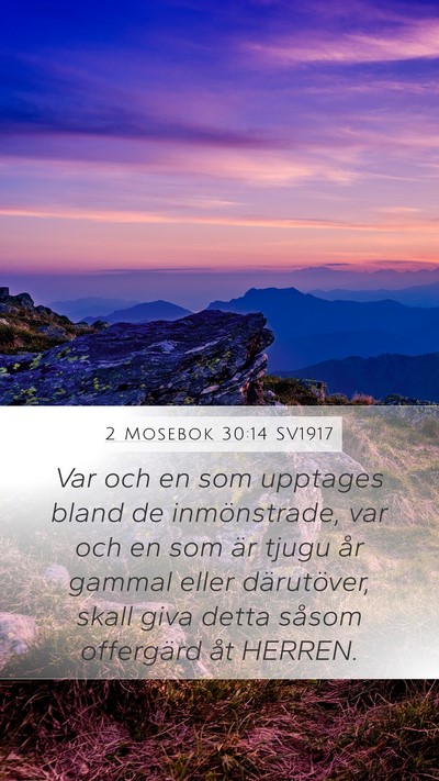 2 Mosebok 30:14 SV1917 Mobile Phone Wallpaper - Var och en som upptages bland de inmönstrade, - Mobile Bible Verse Wallpaper