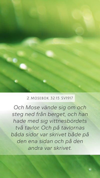 2 Mosebok 32:15 SV1917 Bible Verse Image