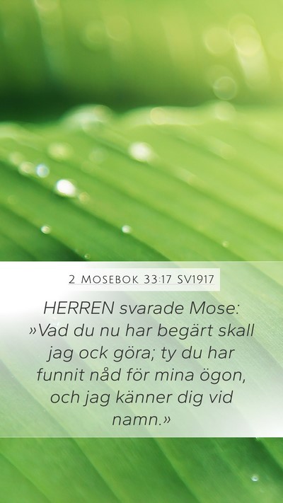 2 Mosebok 33:17 SV1917 Bible Verse Image