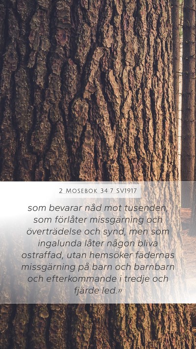 2 Mosebok 34:7 SV1917 Bible Verse Image