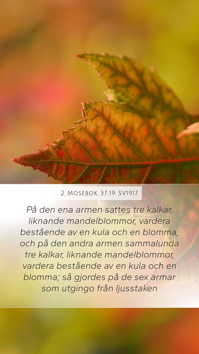 2 Mosebok 37:19 SV1917 Mobile Phone Wallpaper - På den ena armen sattes tre kalkar, liknande - Mobile Bible Verse Wallpaper