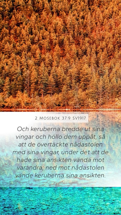 2 Mosebok 37:9 SV1917 Bible Verse Image
