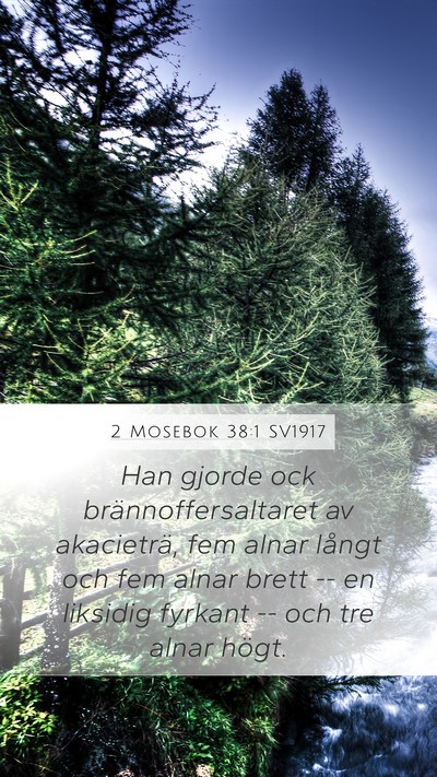 2 Mosebok 38:1 SV1917 Bible Verse Image