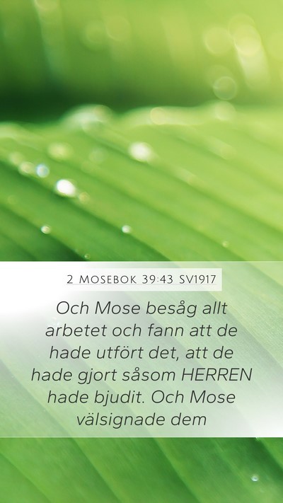 2 Mosebok 39:43 SV1917 Bible Verse Image
