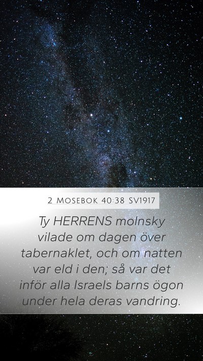 2 Mosebok 40:38 SV1917 Bible Verse Image