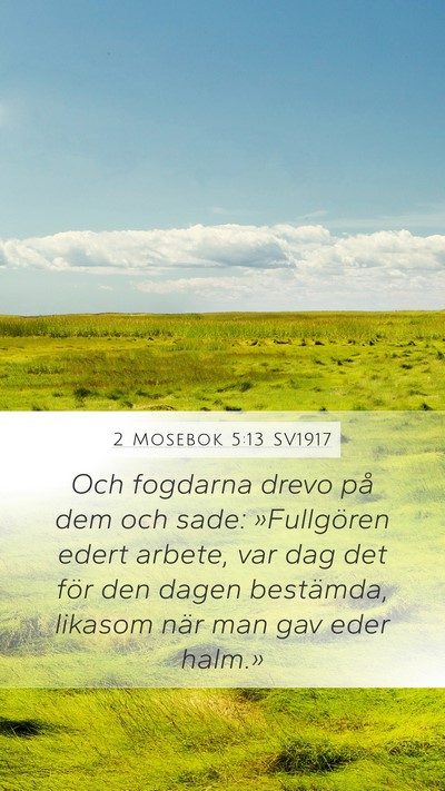 2 Mosebok 5:13 SV1917 Bible Verse Image