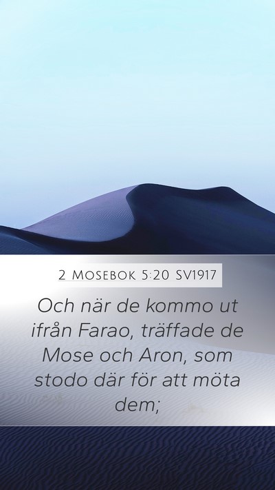 2 Mosebok 5:20 SV1917 Mobile Phone Wallpaper - Och när de kommo ut ifrån Farao, träffade de - Mobile Bible Verse Wallpaper