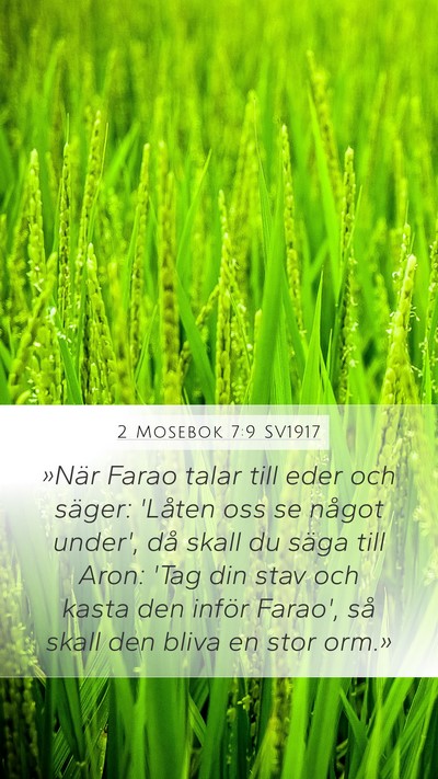 2 Mosebok 7:9 SV1917 Bible Verse Image