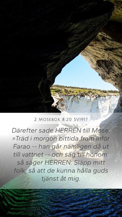 2 Mosebok 8:20 SV1917 Bible Verse Image