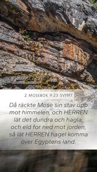 2 Mosebok 9:23 SV1917 Bible Verse Image