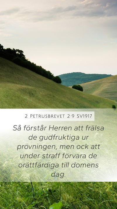 2 Petrusbrevet 2:9 SV1917 Bible Verse Image