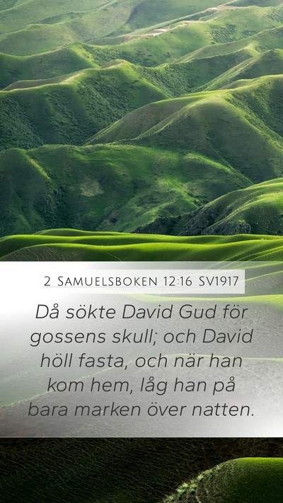 2 Samuelsboken 12:16 SV1917 Bible Verse Image