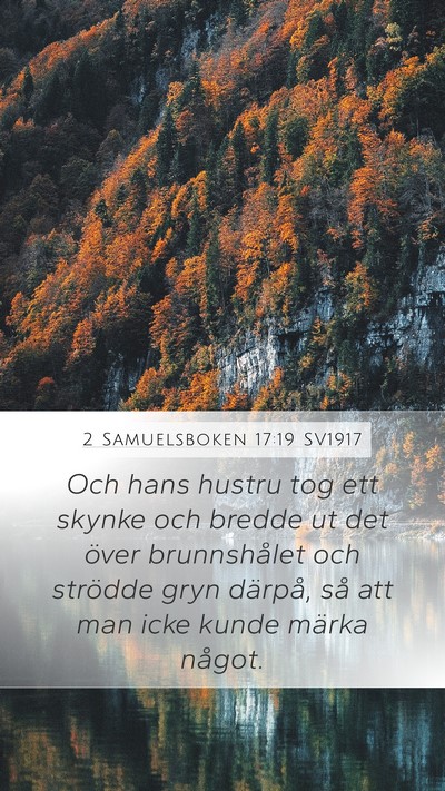 2 Samuelsboken 17:19 SV1917 Bible Verse Image