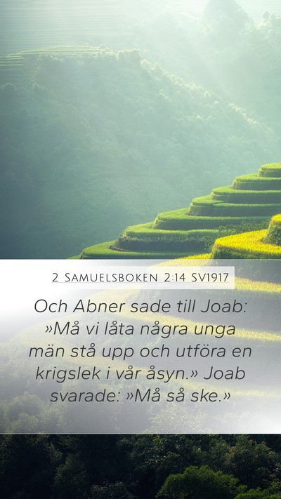 2 Samuelsboken 2:14 SV1917 Bible Verse Image