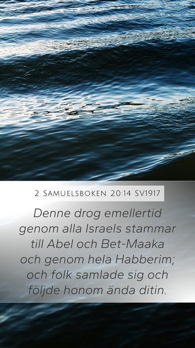 2 Samuelsboken 20:14 SV1917 Bible Verse Image