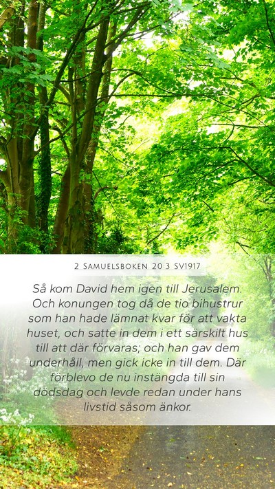 2 Samuelsboken 20:3 SV1917 Mobile Phone Wallpaper - Så kom David hem igen till Jerusalem. Och - Mobile Bible Verse Wallpaper