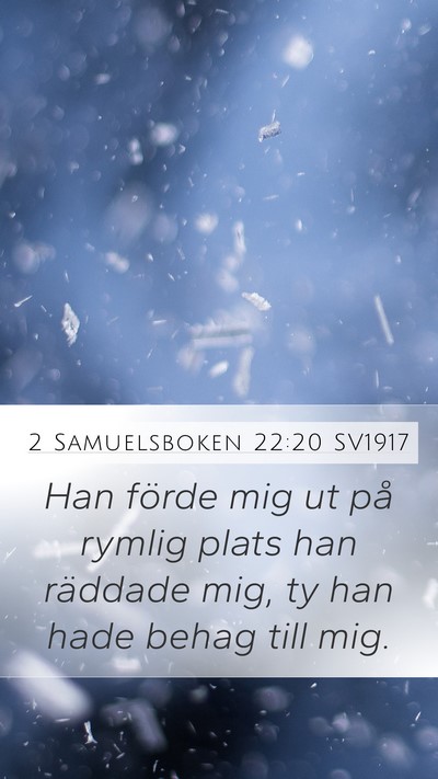2 Samuelsboken 22:20 SV1917 Bible Verse Image