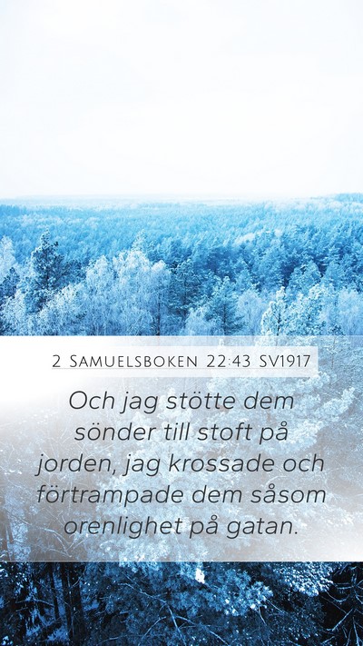 2 Samuelsboken 22:43 SV1917 Bible Verse Image