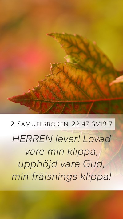 2 Samuelsboken 22:47 SV1917 Bible Verse Image