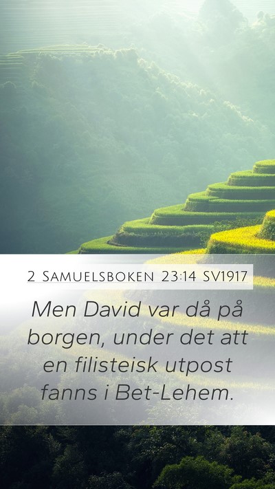 2 Samuelsboken 23:14 SV1917 Bible Verse Image