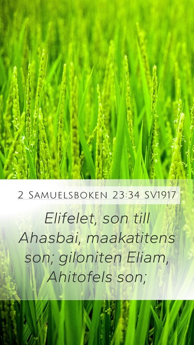 2 Samuelsboken 23:34 SV1917 Bible Verse Image