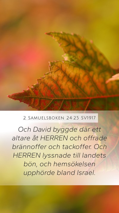 2 Samuelsboken 24:25 SV1917 Bible Verse Image