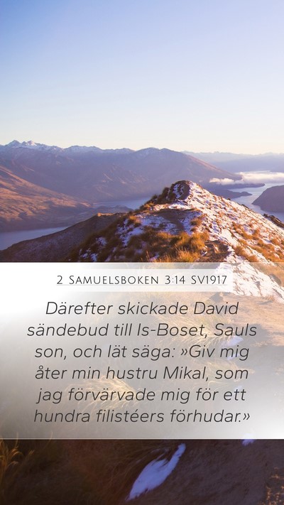 2 Samuelsboken 3:14 SV1917 Bible Verse Image