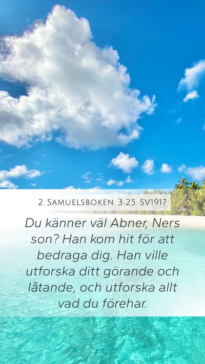 2 Samuelsboken 3:25 SV1917 Mobile Phone Wallpaper - Du känner väl Abner, Ners son? Han kom hit för - Mobile Bible Verse Wallpaper